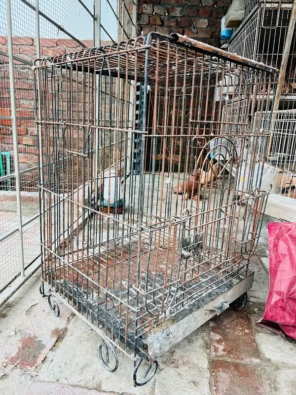 cage 03237015080 — photo 2