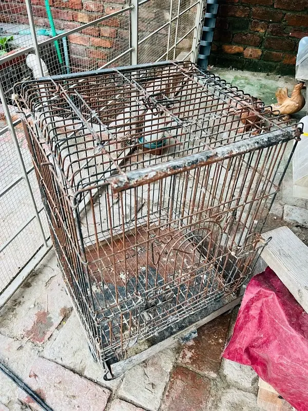 cage 03237015080 — photo 5