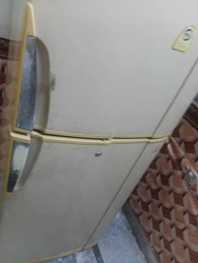 urgent sale  pel refrigerator
