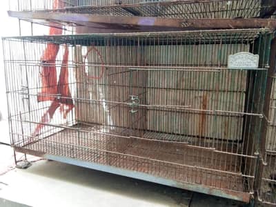 Cages / Pinjra