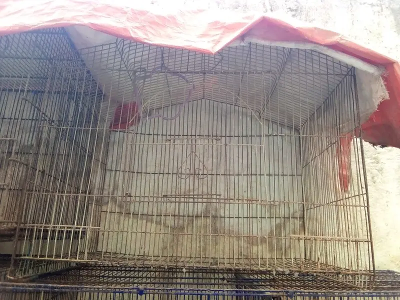 Cages / Pinjra — photo 2