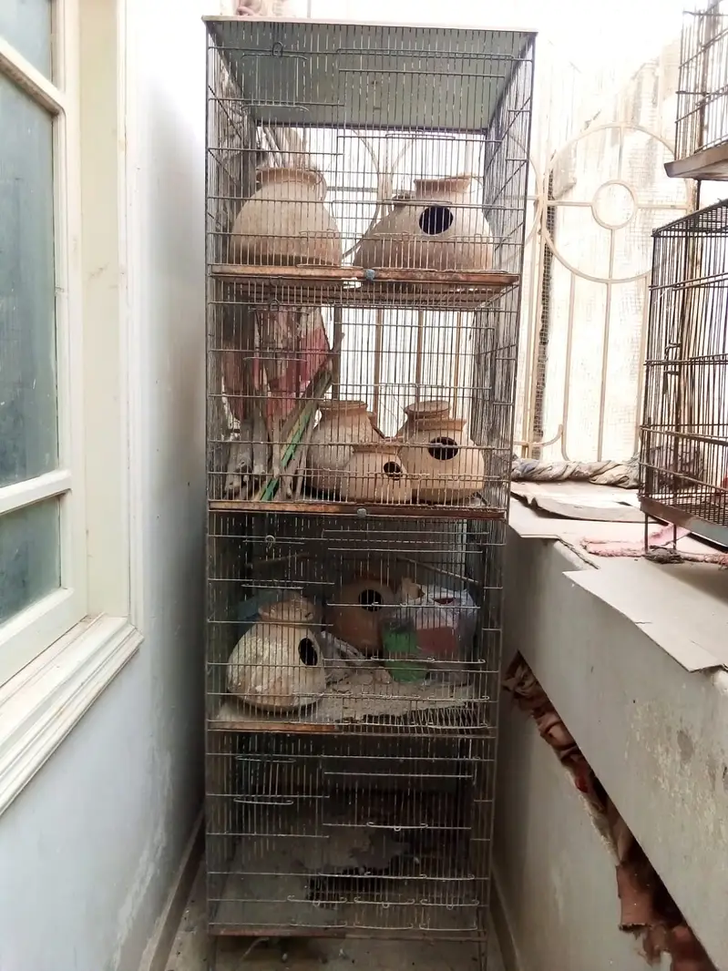 Cages / Pinjra — photo 3