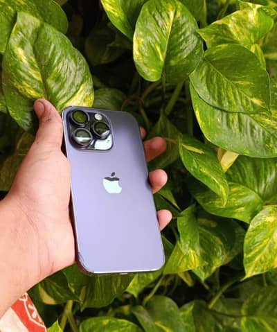 Apple iPhone 14 Pro