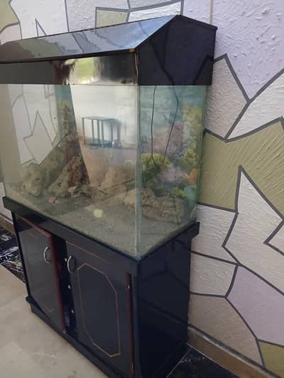 aquarium