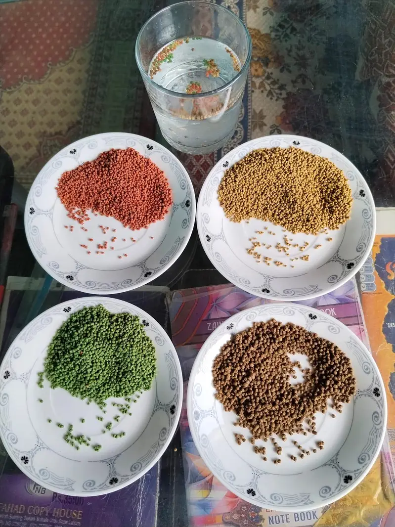 High Protine Fish Feed — photo 3
