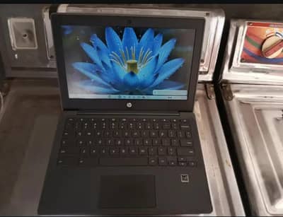 lush condition 10 by 10 Chromebook