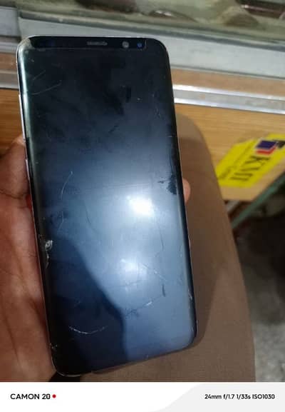 s8 plus official pta