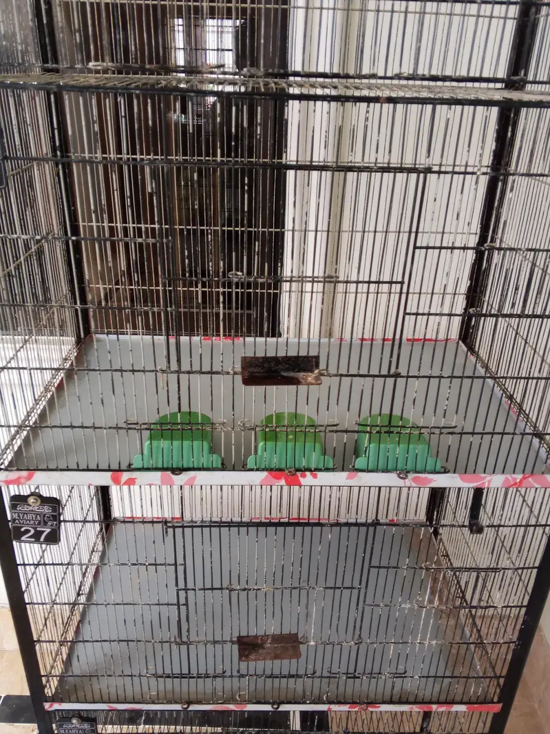 cages — photo 2