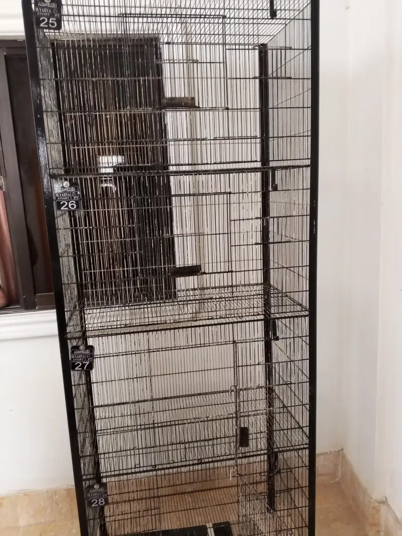 cages — photo 4