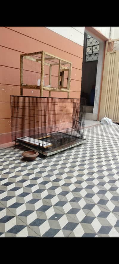 Birds hens cage pinjara