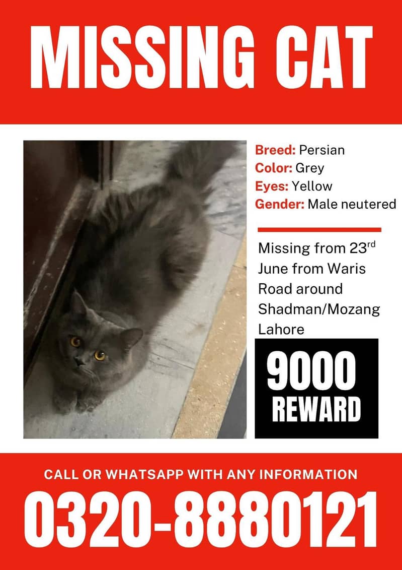 Missing cat 0