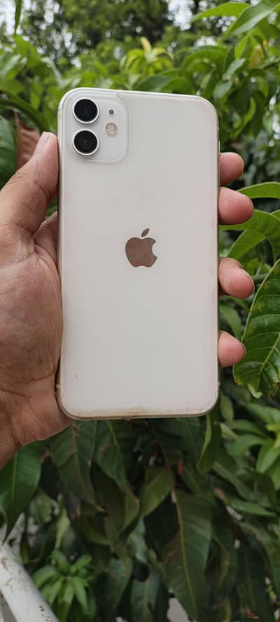Apple iPhone 11