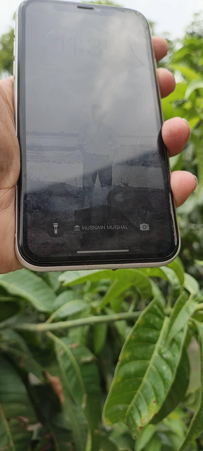 Apple iPhone 11 1