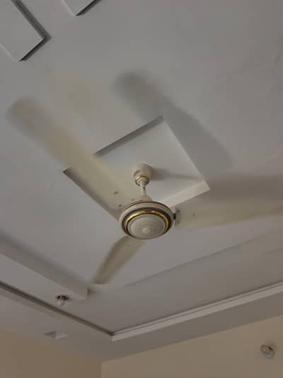 Ceiling Fans