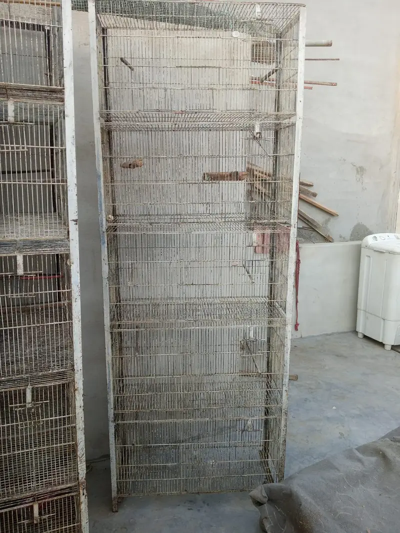 cages and boxes — photo 2