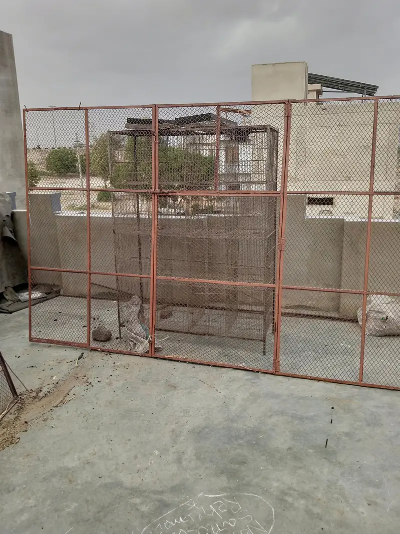 cages and boxes — photo 4