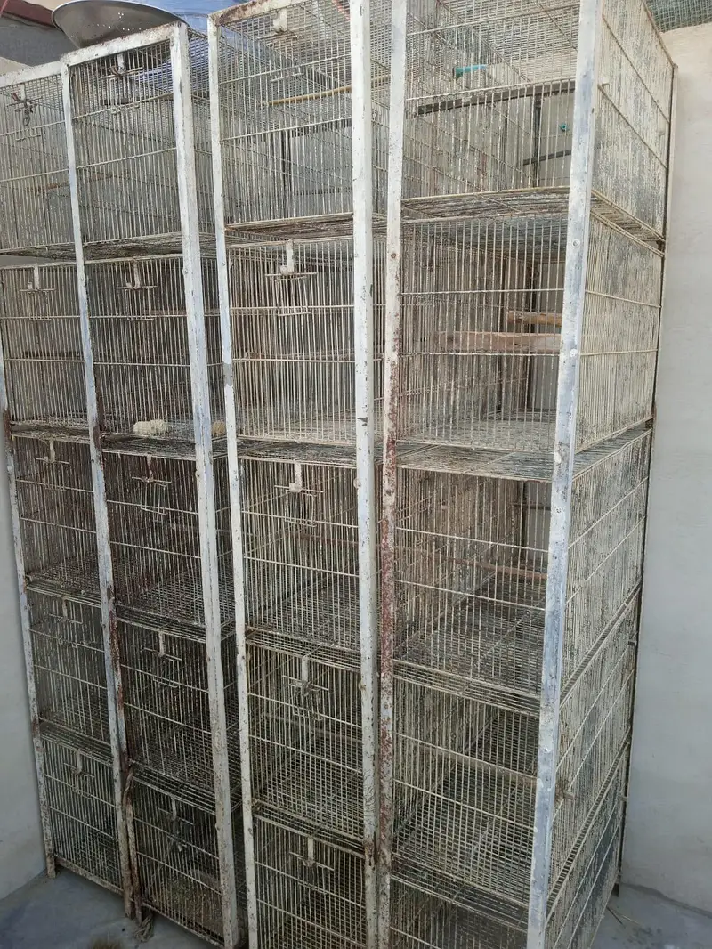 cages and boxes — photo 5