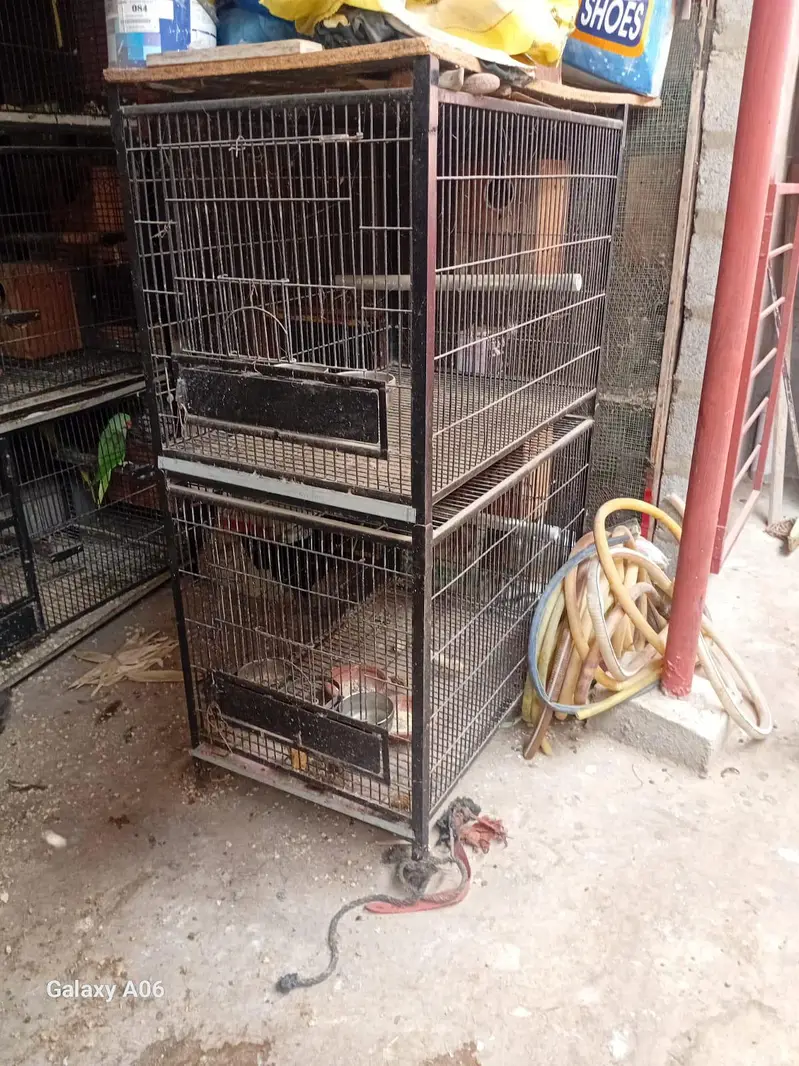 cages and boxes — photo 6