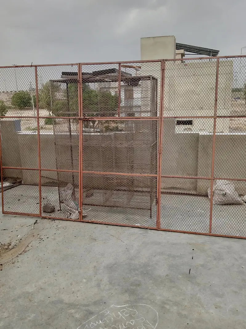 cages and boxes — photo 8