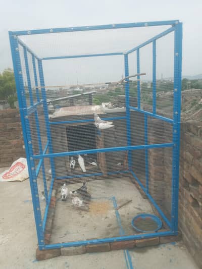 cage for sale