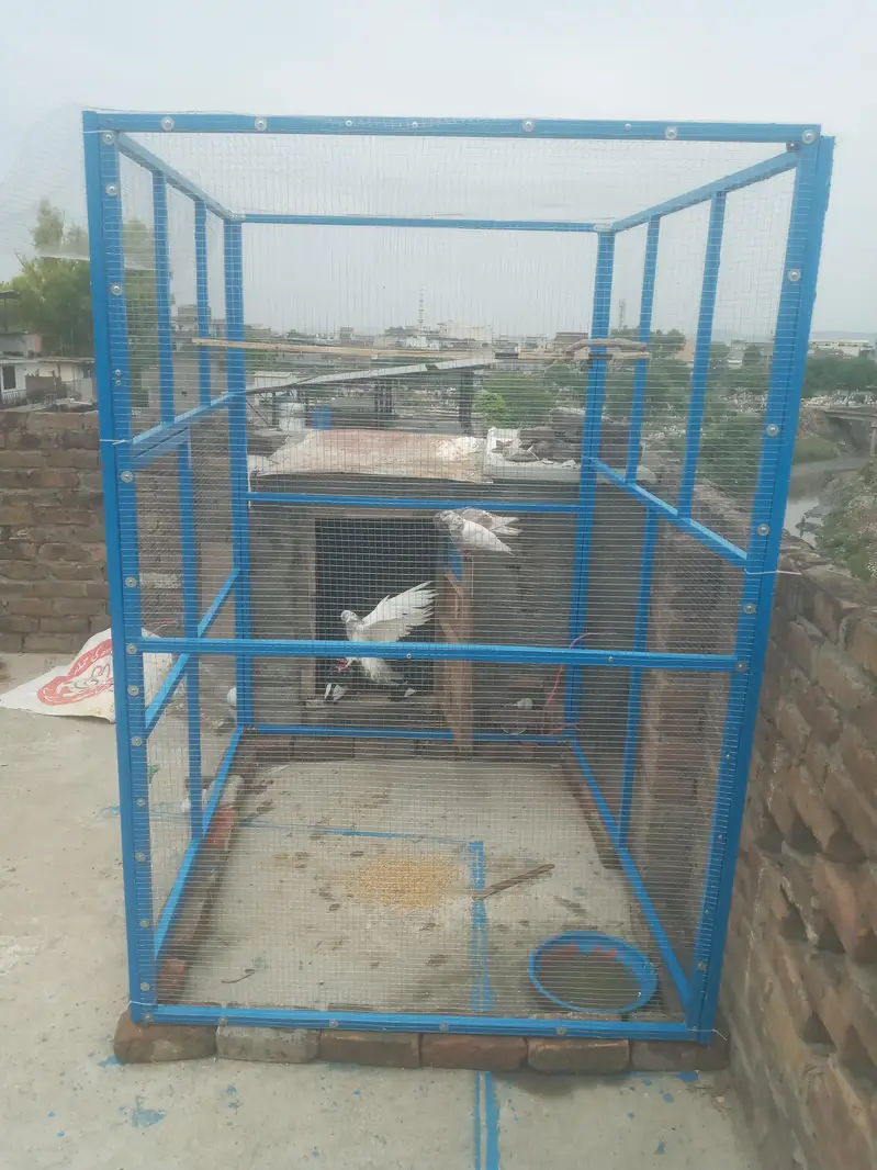 cage for sale — photo 4