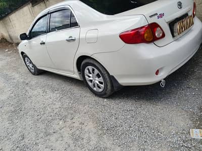 XLI Converted GLI   Corbra  Shape