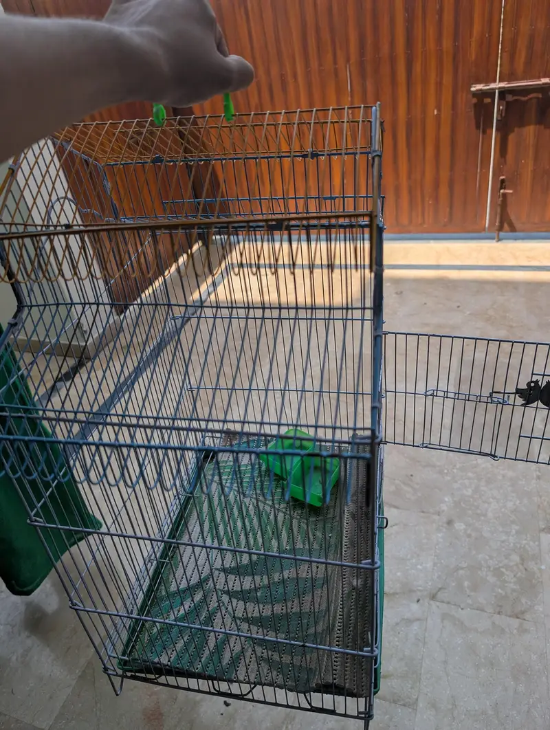 BIRDS CAGE — photo 2