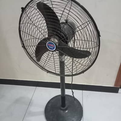 Pedestal Fan
