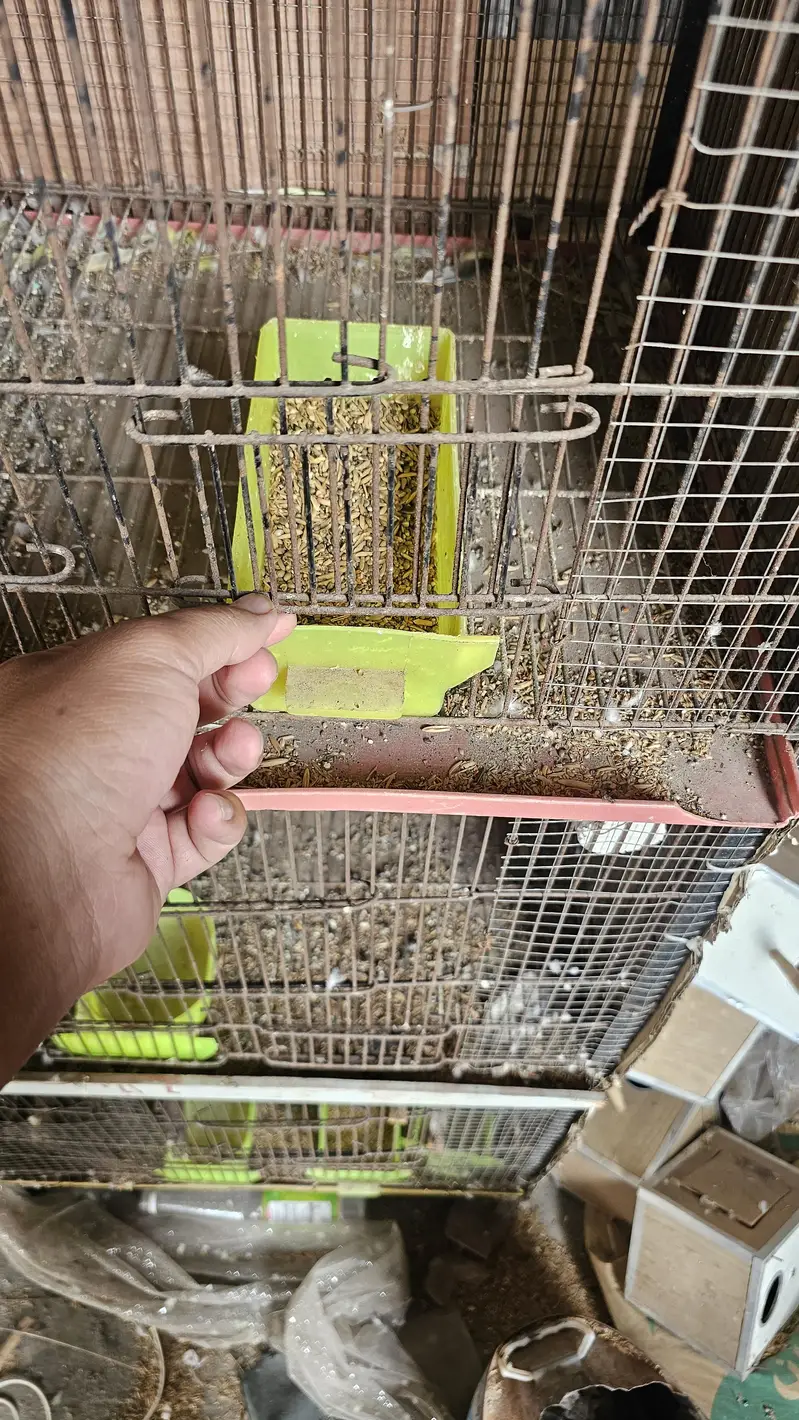 Spot Welding Cage 4 Portion 2 cages available — photo 2