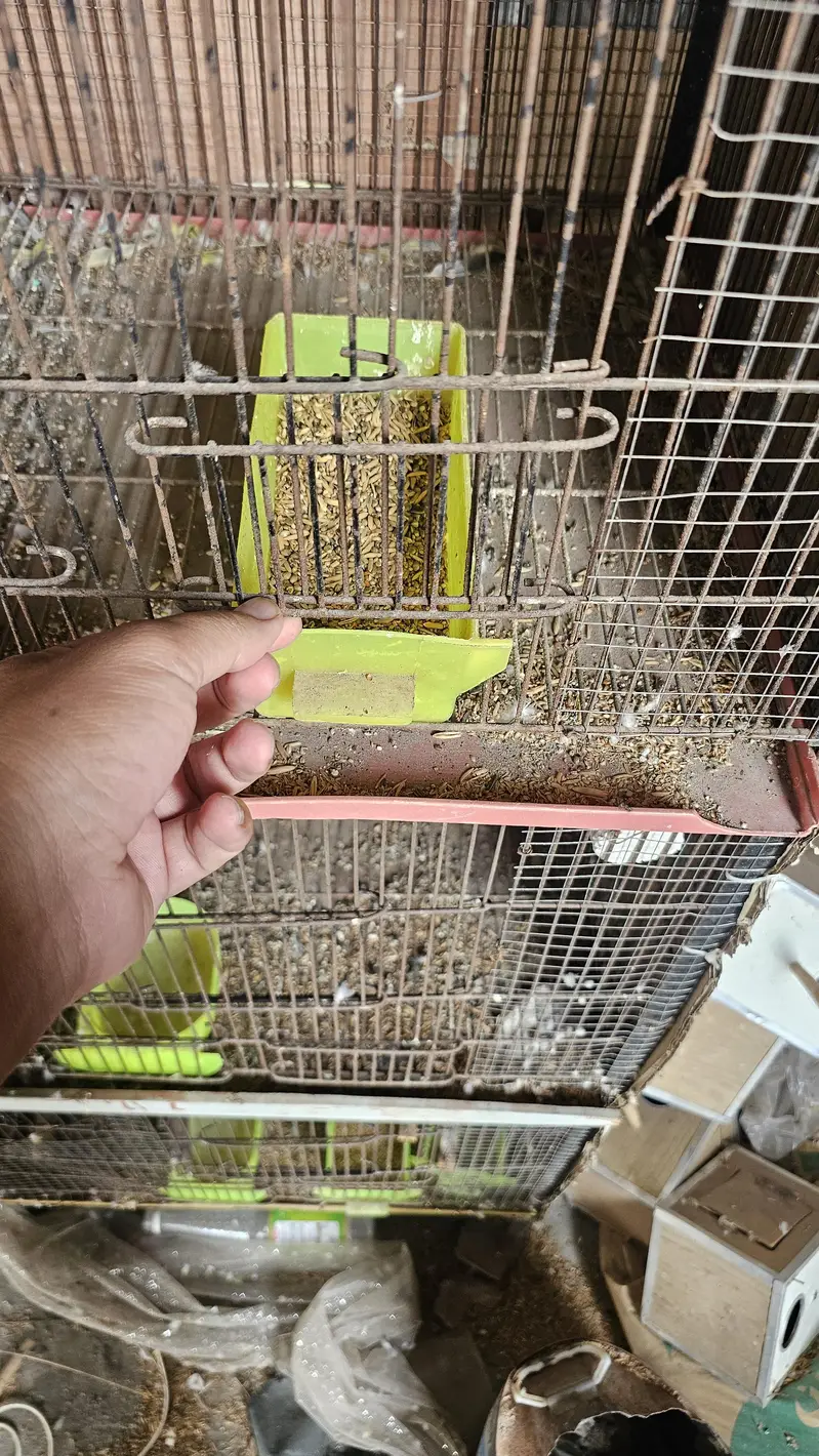 Spot Welding Cage 4 Portion 2 cages available — photo 4