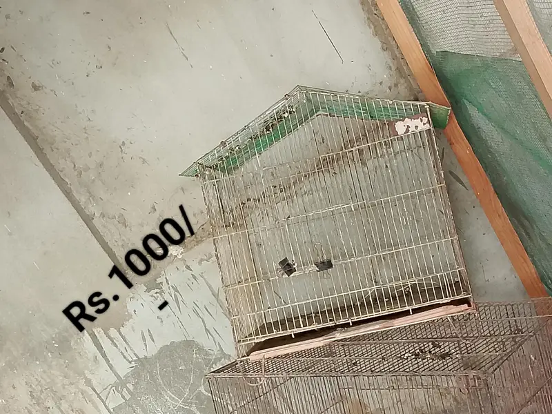 Cages for sale — photo 2