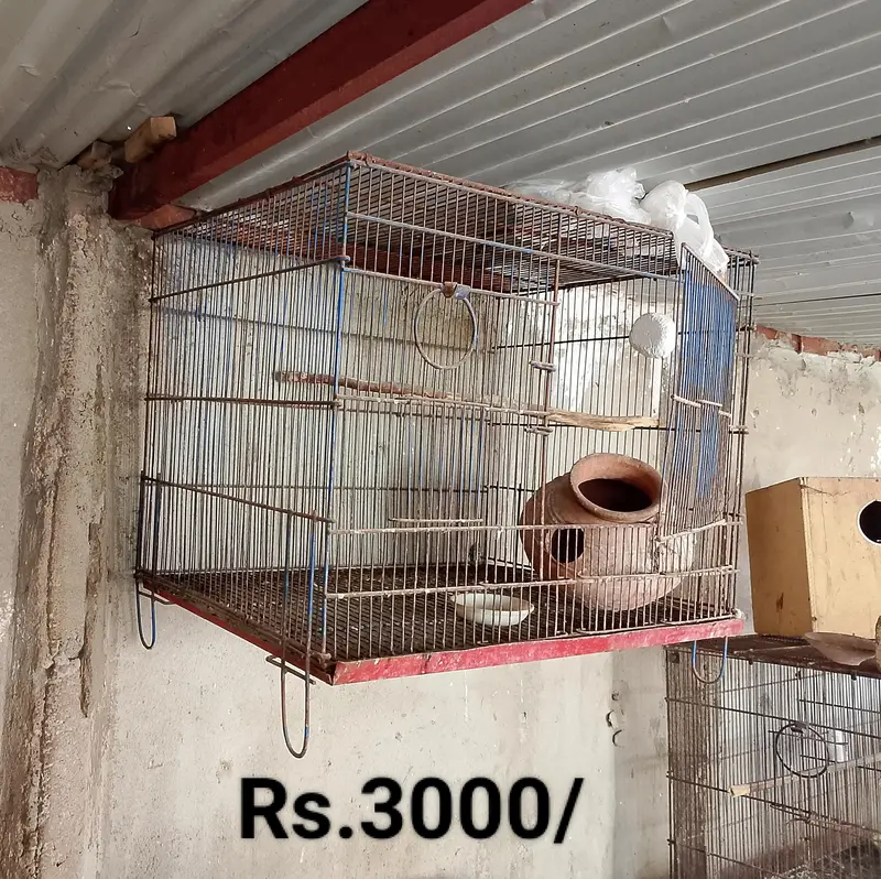Cages for sale — photo 3