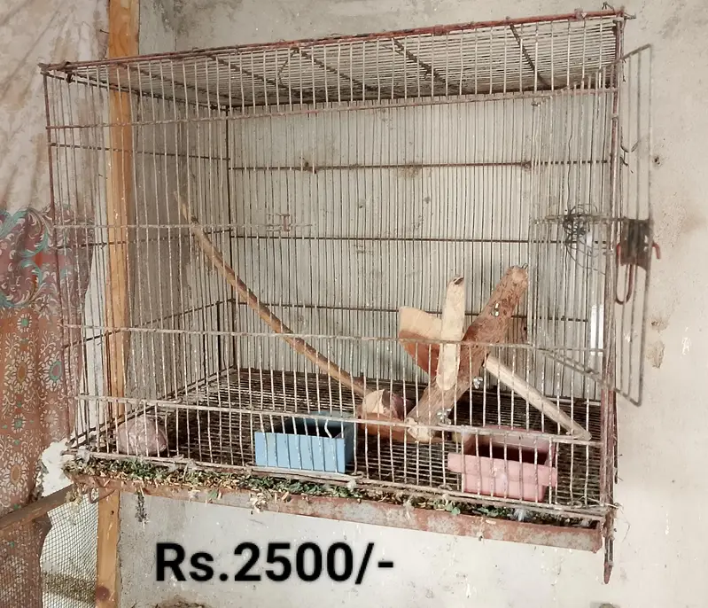 Cages for sale — photo 4