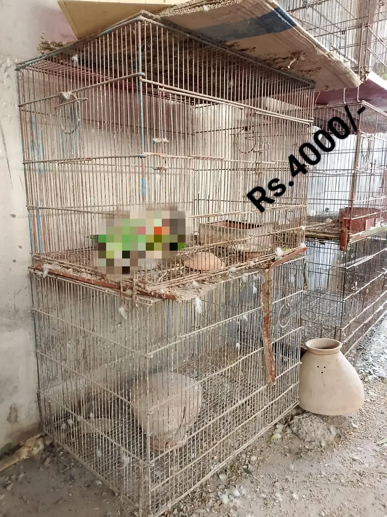 Cages for sale — photo 5
