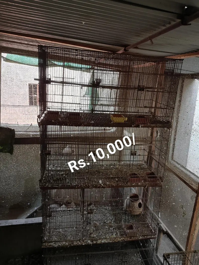 Cages for sale — photo 8