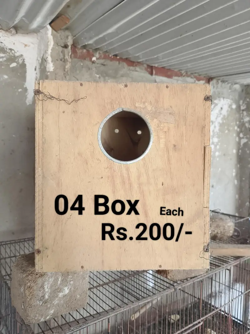 Cages for sale — photo 9