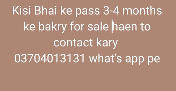 male available hon to contact Karen
