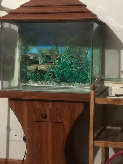 Aquarium