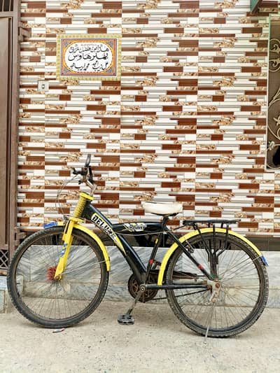 Bicycle 17000