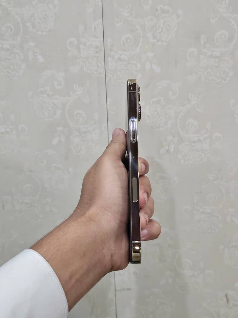 Apple iPhone 13 Pro Max Exchange possible 2