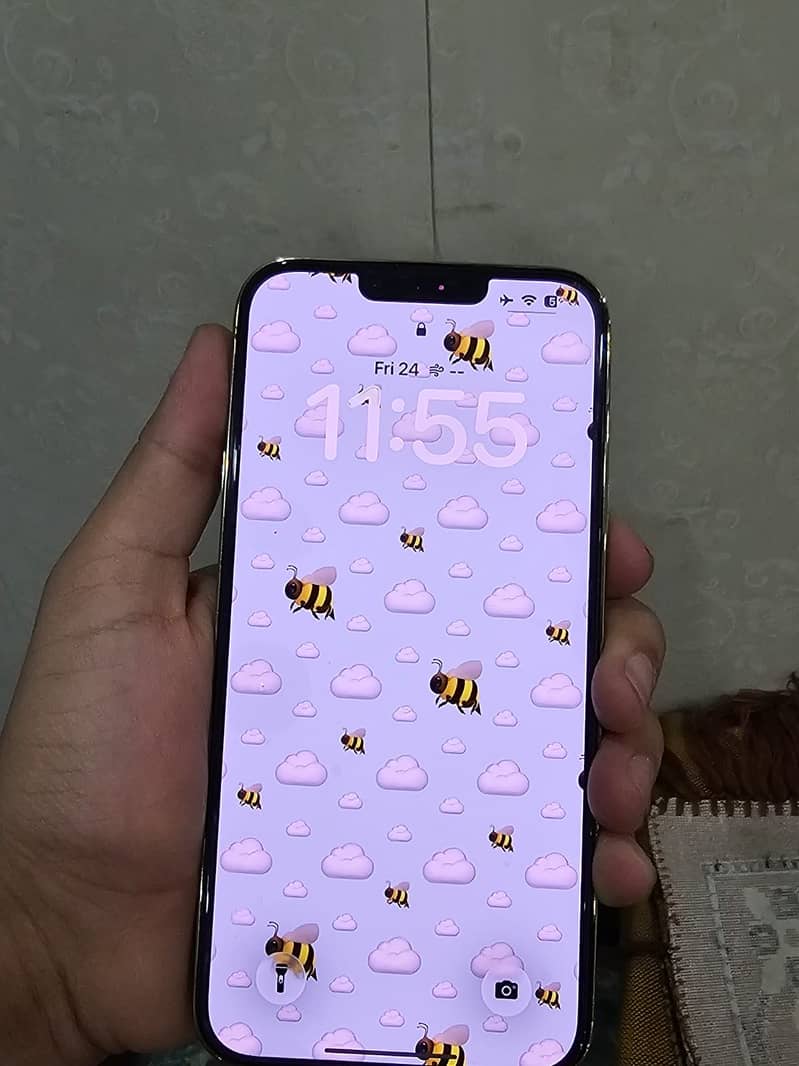 Apple iPhone 13 Pro Max Exchange possible 4