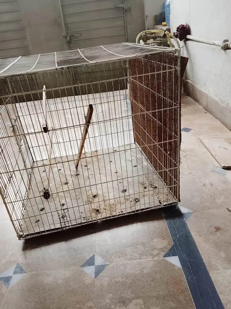 cage for parrots and birds mazboot bana hua hai location gujrat — photo 4