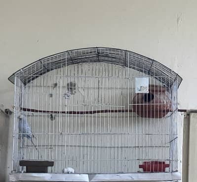 Cage Medium Size for sale