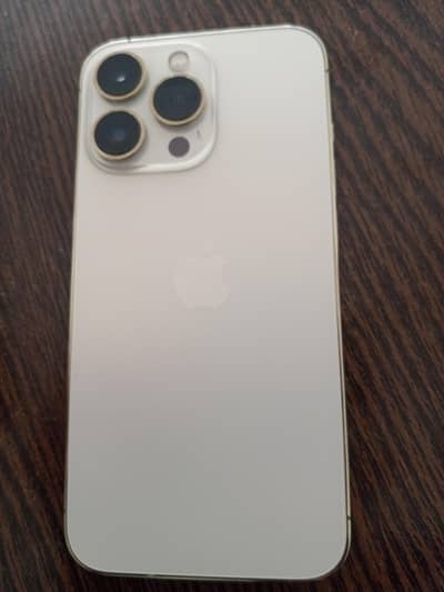 Apple iPhone 13 Pro