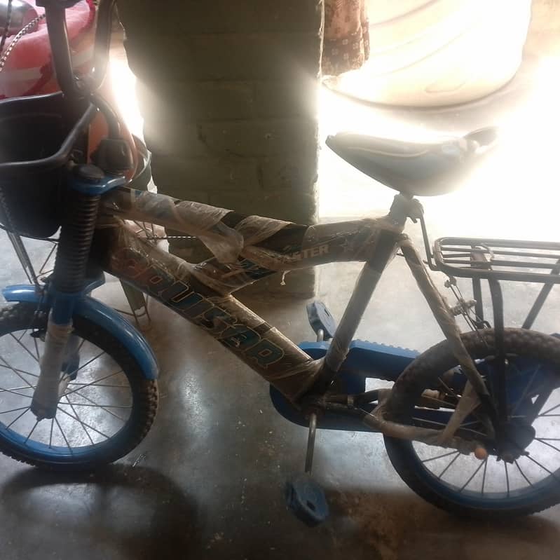 Cycle 2