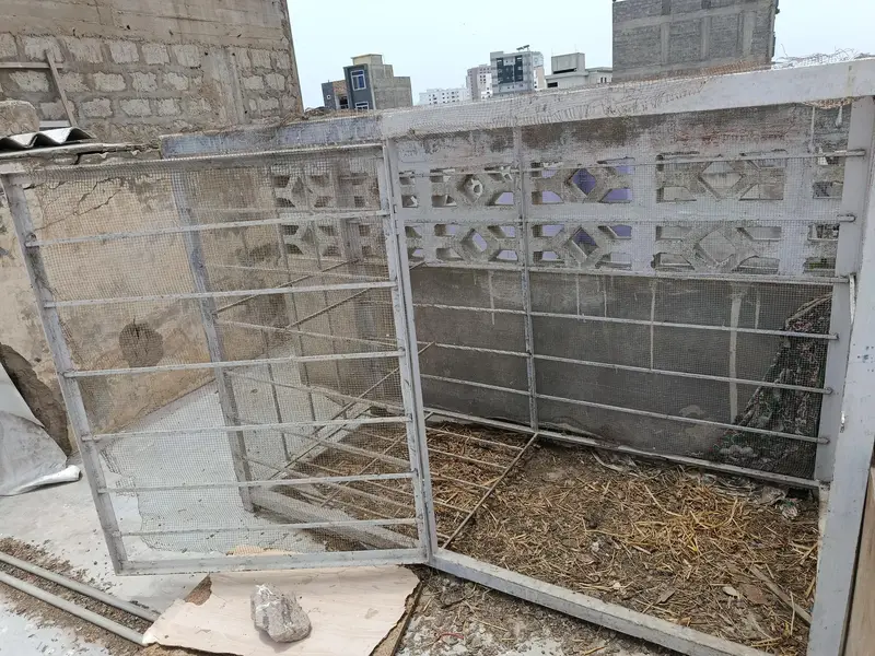3 cages for hen pinjra — photo 2