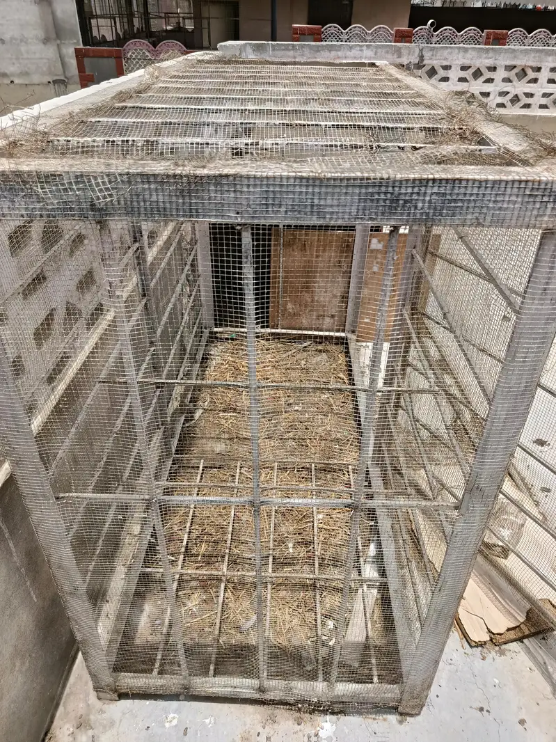 3 cages for hen pinjra — photo 3