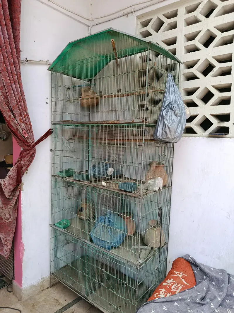 3 cages for hen pinjra — photo 4