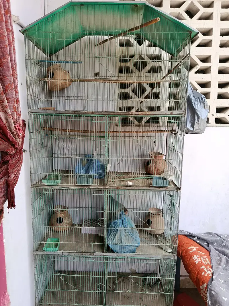 3 cages for hen pinjra — photo 5