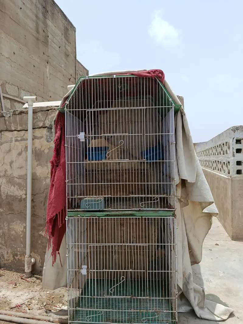 3 cages for hen pinjra — photo 6